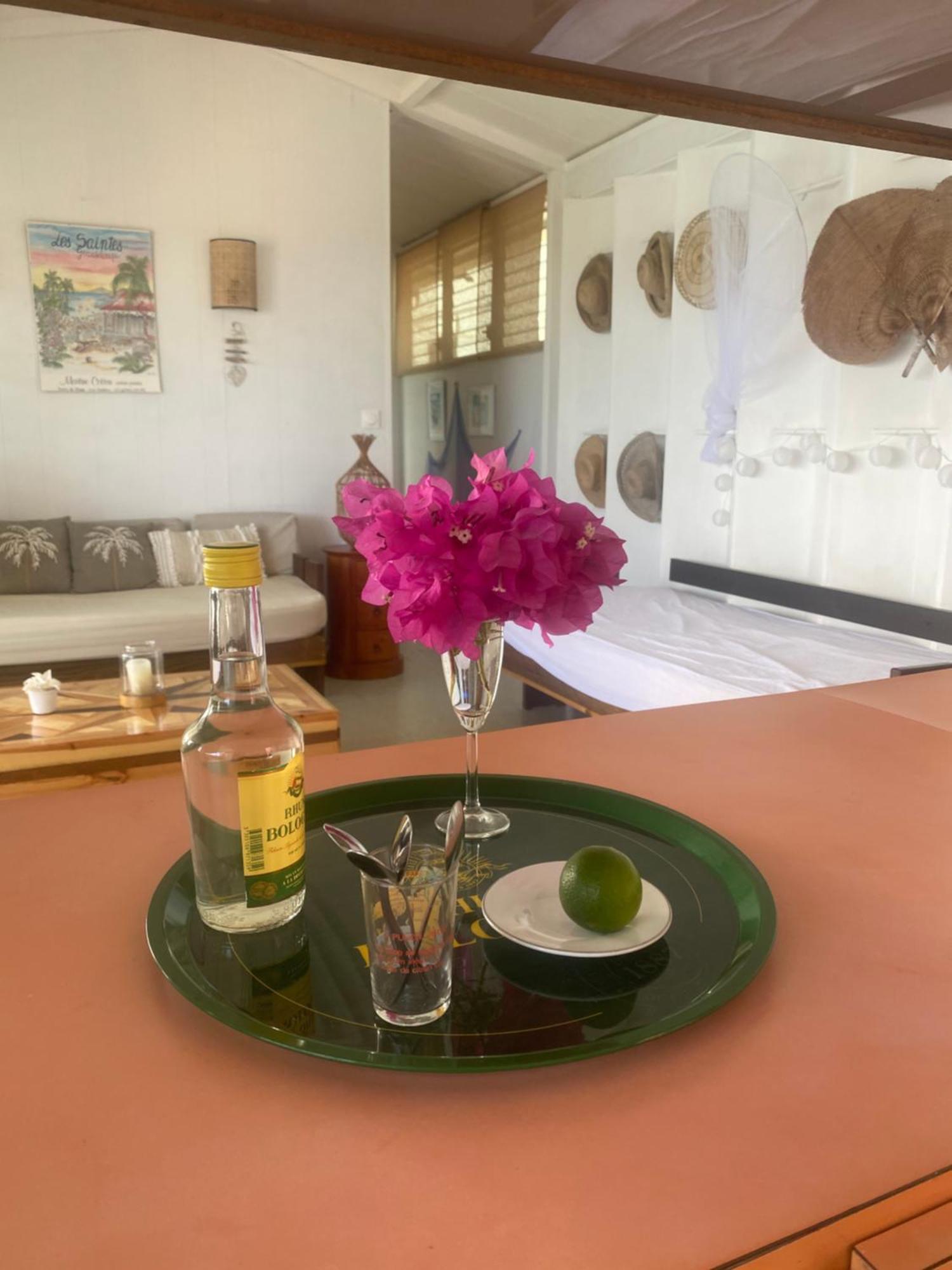 La Sucriere Apartment Terre-De-Haut Ngoại thất bức ảnh